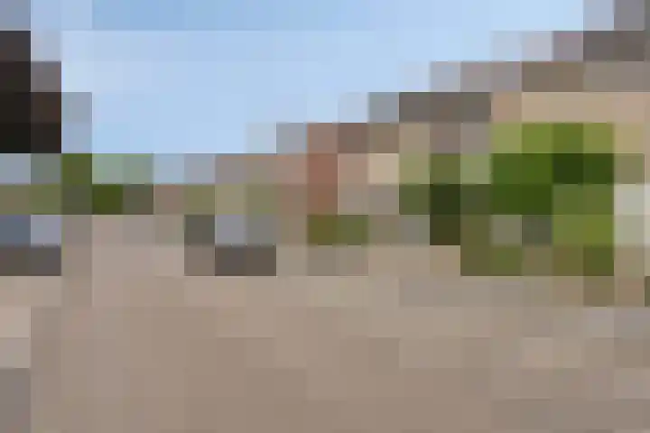 van Wisstraat 16 Helden thumbnail 33