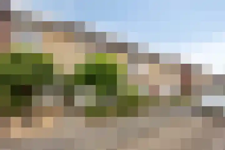 van Wisstraat 16 Helden thumbnail 34