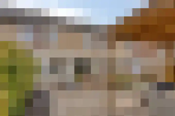van Wisstraat 16 Helden thumbnail 4