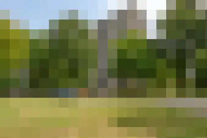 Vanekerstraat 303 Enschede thumbnail 5