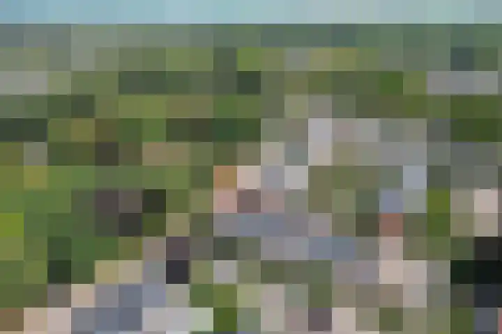 Vanenburg 1 Ugchelen thumbnail 37