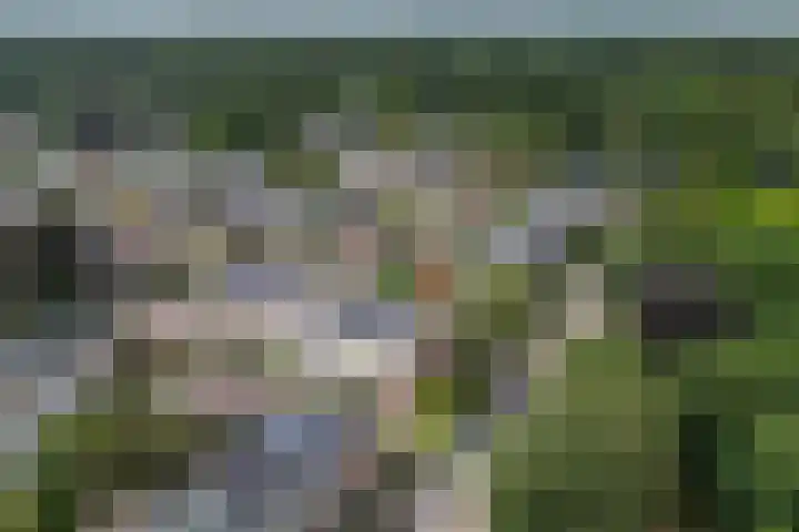 Vanenburg 1 Ugchelen thumbnail 38