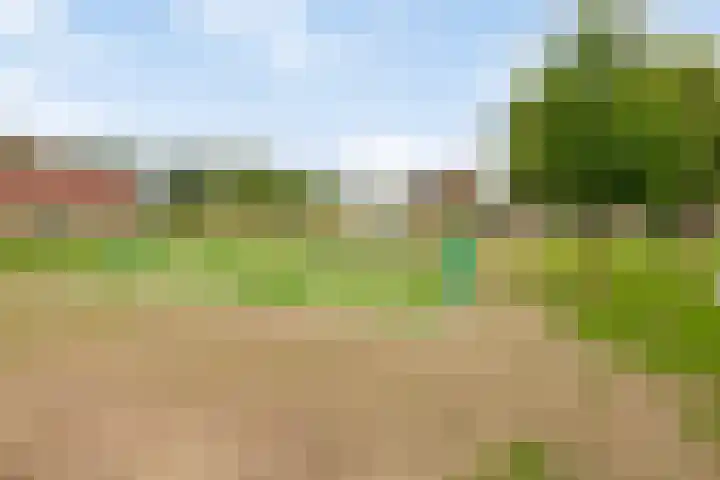 Vanenburg 118 Ede thumbnail 30