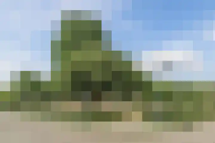 Screenshot van de website van www.vanhuyse.nl