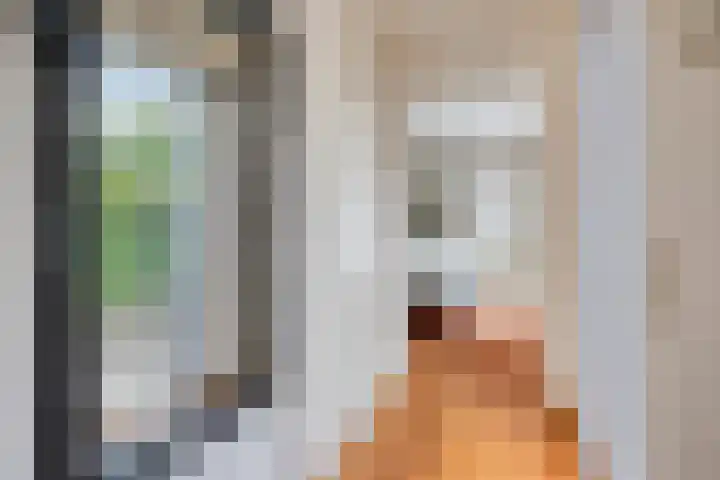 Varda 24 Geldrop thumbnail 10