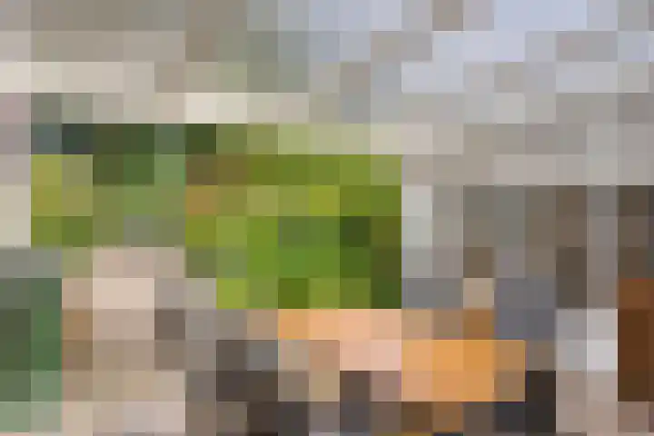 Varda 24 Geldrop thumbnail 17