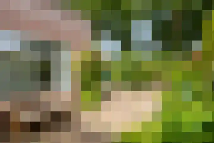 Varda 24 Geldrop thumbnail 18