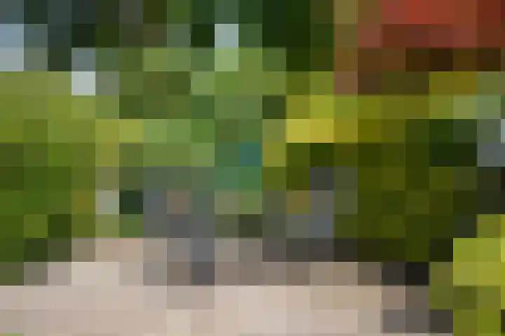 Varda 24 Geldrop thumbnail 20