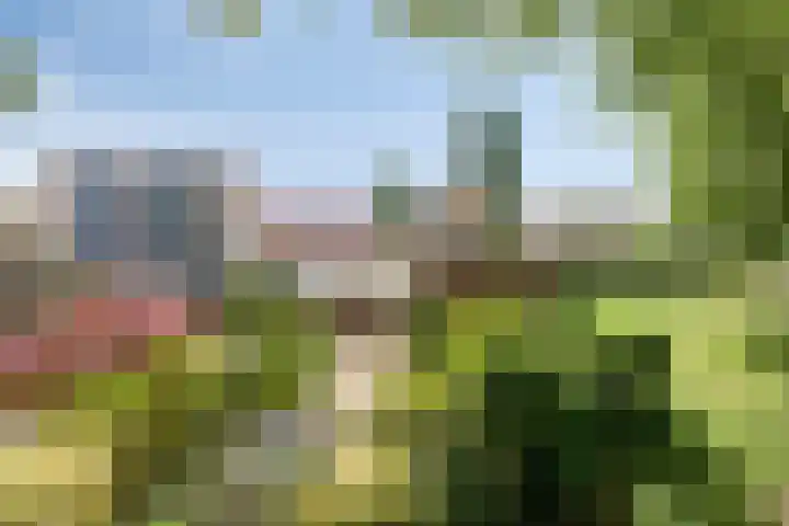 Varda 24 Geldrop thumbnail 21