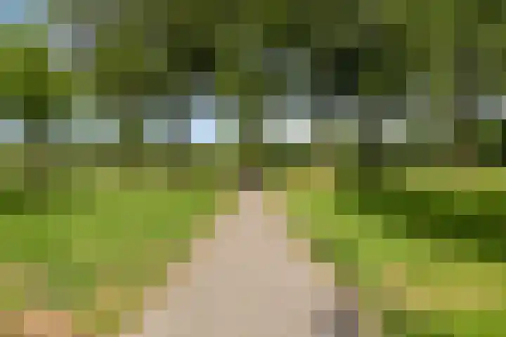 Varda 24 Geldrop thumbnail 24