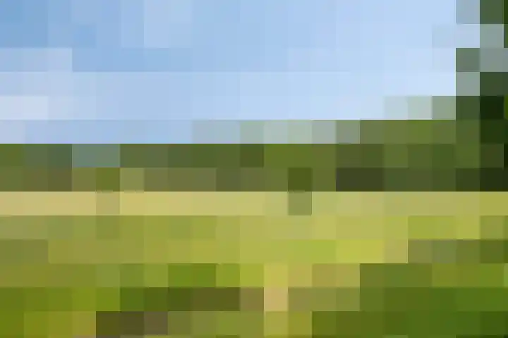 Varda 24 Geldrop thumbnail 25