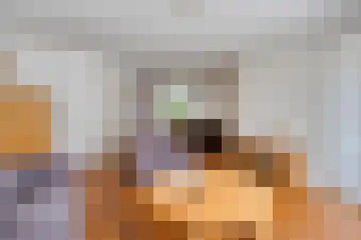 Varda 24 Geldrop thumbnail 6