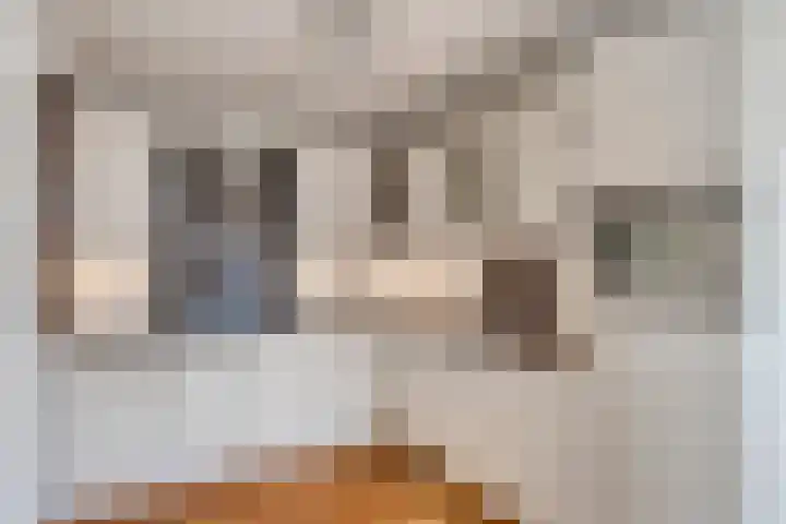 Varda 24 Geldrop thumbnail 7