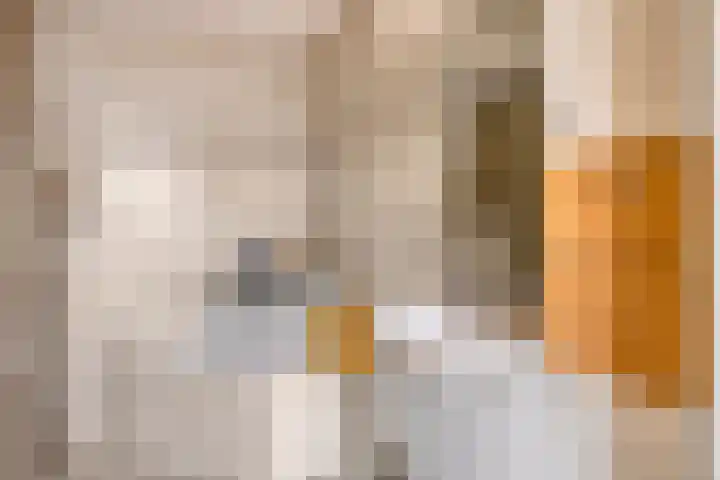 Varda 24 Geldrop thumbnail 8