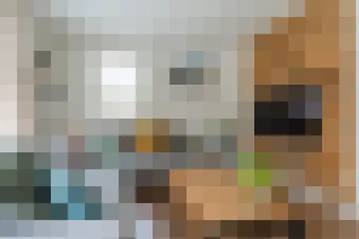 Varelaar 37 Handel thumbnail 10