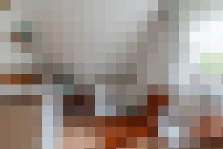 Varelaar 37 Handel thumbnail 33