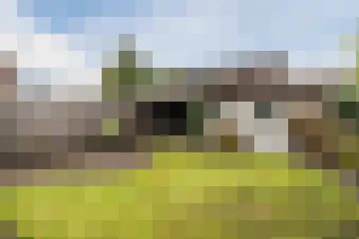 Varelaar 37 Handel thumbnail 43