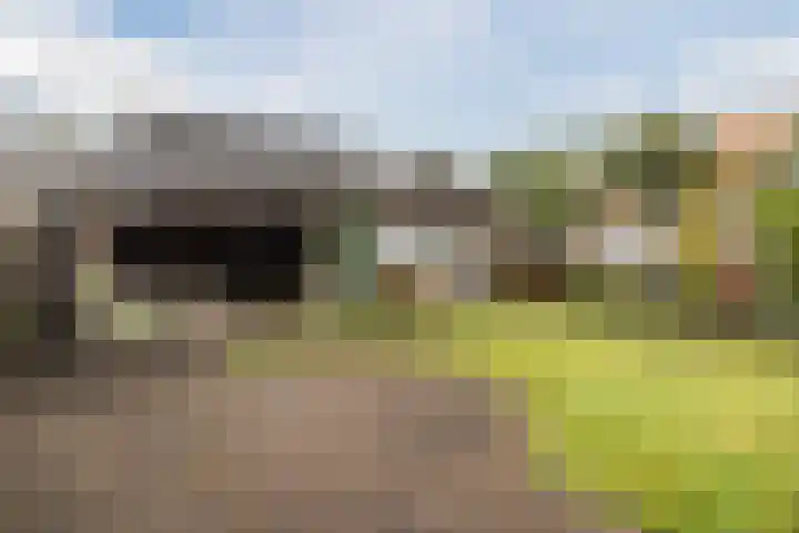 Varelaar 37 Handel thumbnail 45