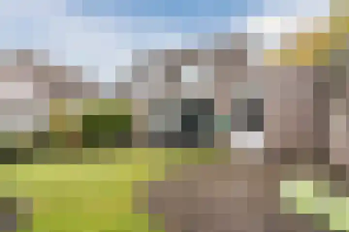 Varelaar 37 Handel thumbnail 5