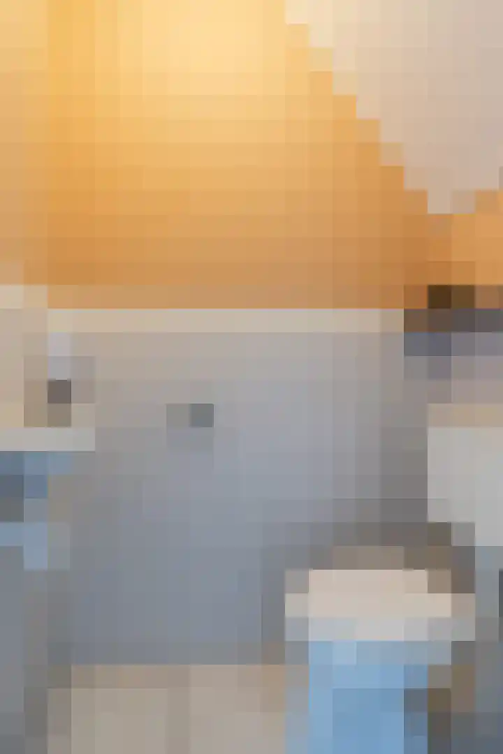 Varelaar 37 Handel thumbnail 7