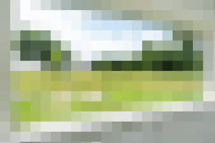 Varenkamp 129 Emmen thumbnail 10
