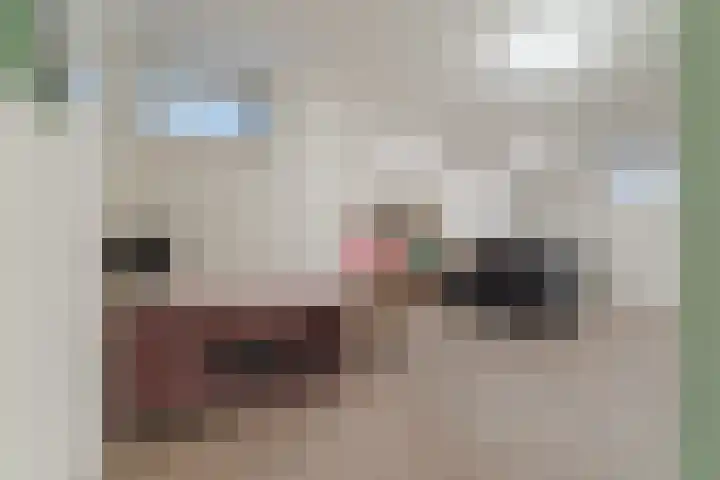 Varshaak 16 Best thumbnail 18