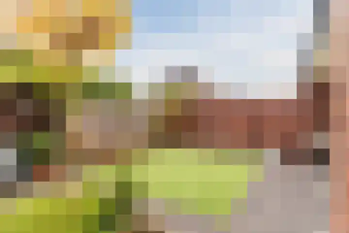 Varshaak 16 Best thumbnail 47