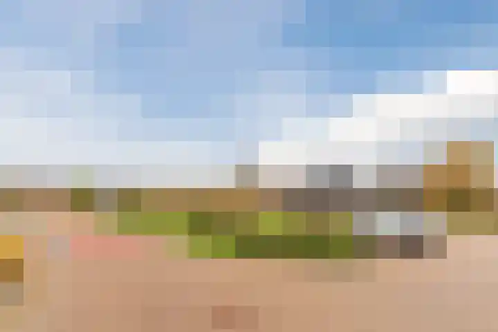 Varshaak 16 Best thumbnail 52
