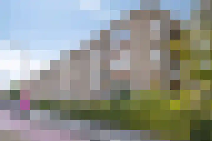 Varviksingel 207 Enschede thumbnail 7