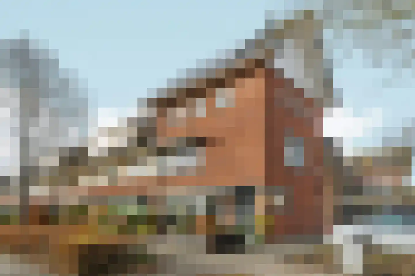 Vasalisstraat 18 dans Almere