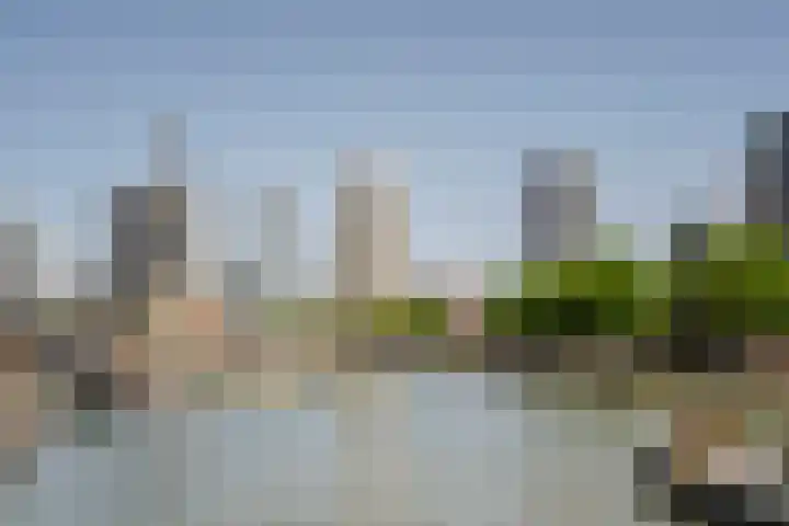 Vasteland 463 Rotterdam thumbnail 31