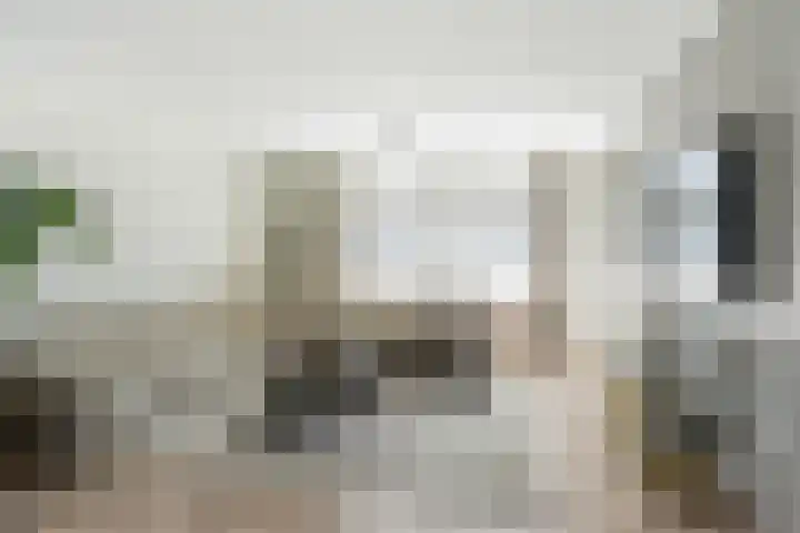 Vasteland 463 Rotterdam thumbnail 4