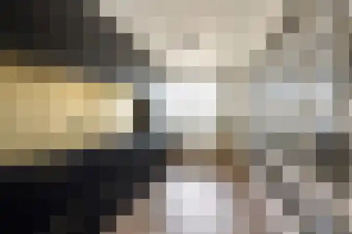 Vasteland 463 Rotterdam thumbnail 9