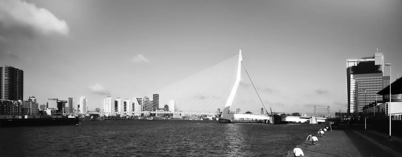 Team foto van Vastgoed 010