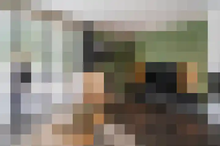 Vatsel 3 Uden thumbnail 14