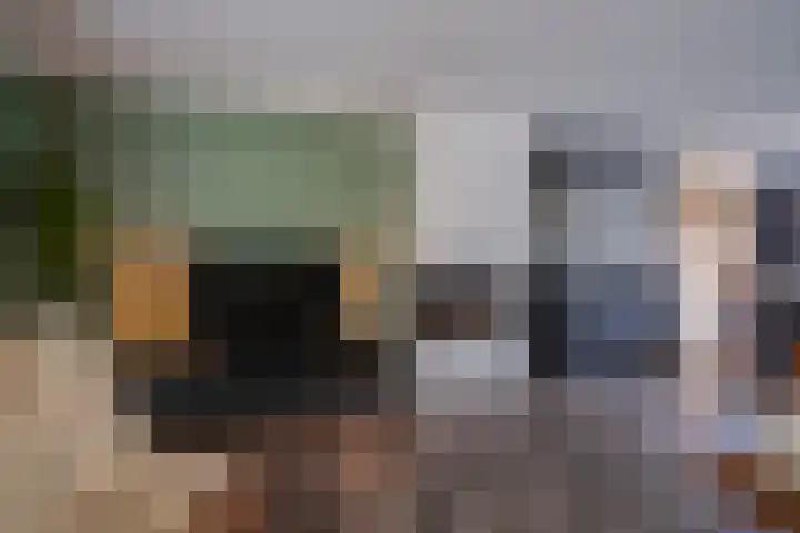 Vatsel 3 Uden thumbnail 15