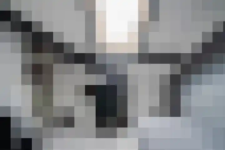 Vatsel 3 Uden thumbnail 31