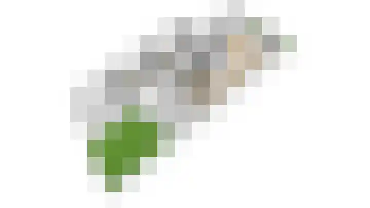 Vatsel 3 Uden thumbnail 33