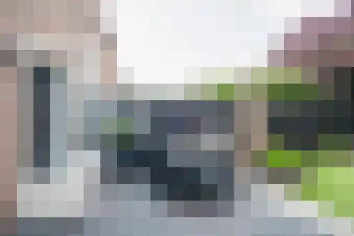 Vatsel 3 Uden thumbnail 6