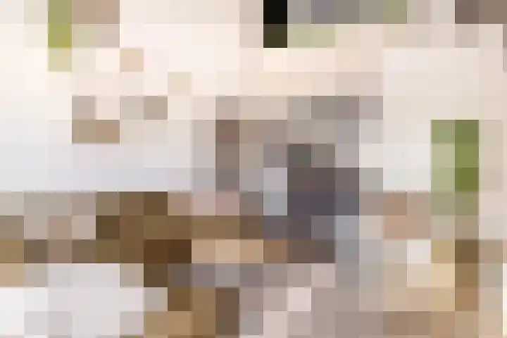 Kantoor foto van vb&t Makelaars