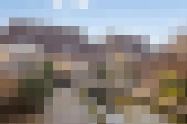 Vecht 44 Zeewolde thumbnail 34