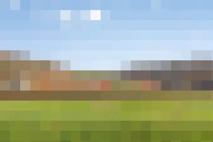 Vecht 44 Zeewolde thumbnail 40