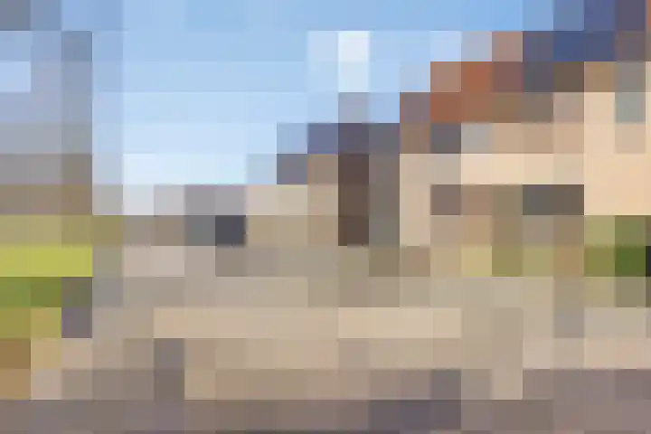 Vecht 44 Zeewolde thumbnail 6
