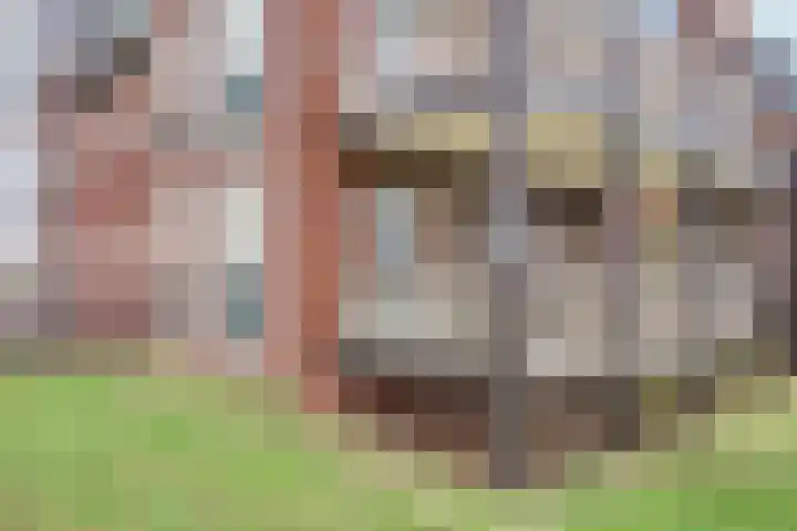 Vechtkade 43 Ommen thumbnail 10