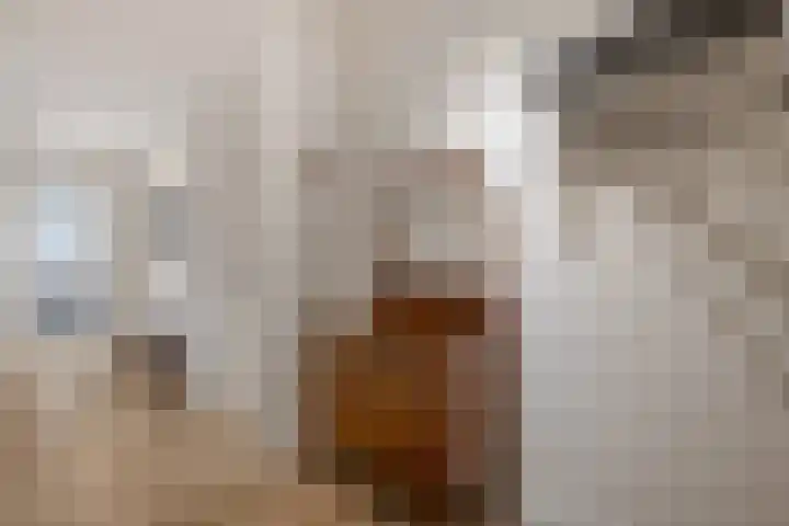 Vechtkade 43 Ommen thumbnail 16