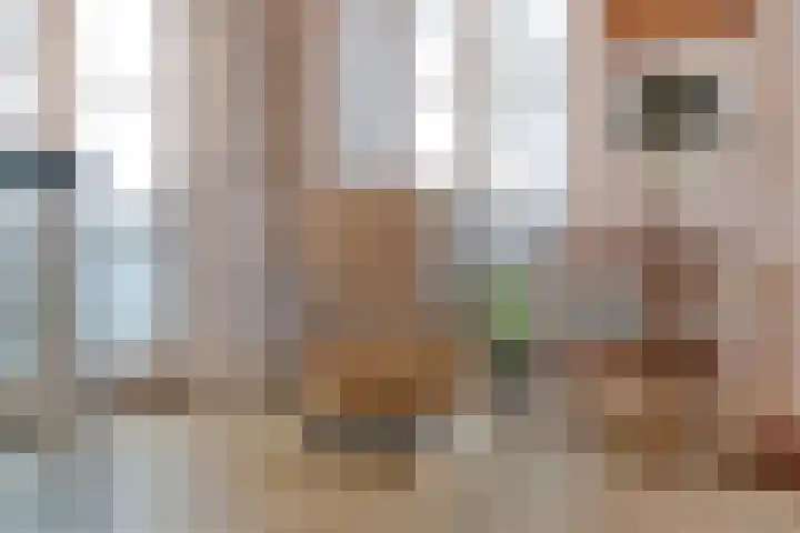 Vechtkade 43 Ommen thumbnail 22
