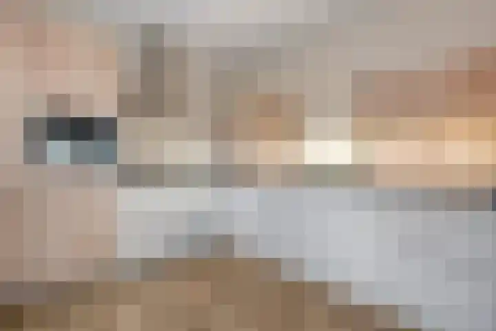 Vechtkade 43 Ommen thumbnail 26