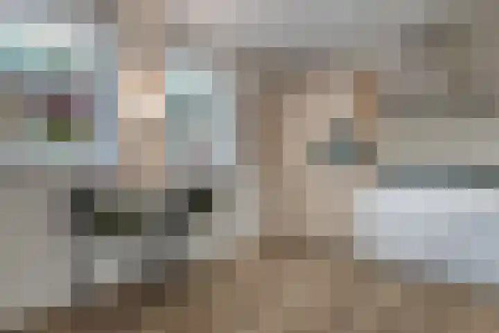 Vechtkade 43 Ommen thumbnail 27