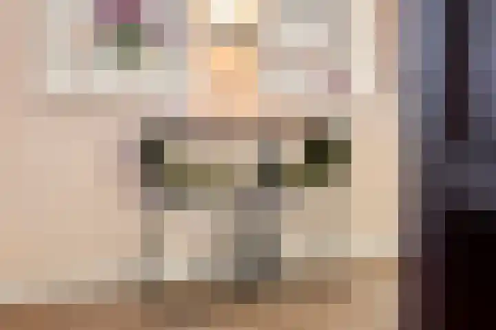 Vechtkade 43 Ommen thumbnail 29