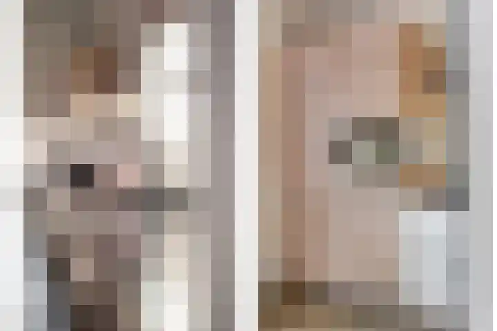 Vechtkade 43 Ommen thumbnail 30